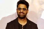 Prabhas Vintage King title, Vintage King, interesting title for prabhas next, Vintage king