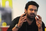 Prabhas new movie, Raja Deluxe, two young beauties in talks for prabhas next, Pelli sandad