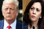 Amy Tripp predictions, Amy Tripp latest, astrologer predictions about the new us president, Us presidential elections 2024