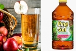 preschool children, Pine Sol given to kids, preschoolers served with cleaning liquid to drink instead of apple juice, Preschoolers
