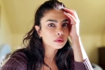 Priyanka Chopra latest, Don't Look For Virgin Wife comment, priyanka chopra breaks silence on don t look for virgin wife comment, Oman