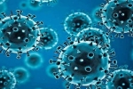 Coronavirus, R.1 Coronavirus latest, r 1 variant of coronavirus traced in 35 countries, Coronavirus usa