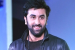 Ranbir Kapoor, Ranbir Kapoor updates, ranbir kapoor s cameo in srk s next, Ae dil hai mushkil Ranbir Kapoor, Ranbir Kapoor updates, ranbir kapoor s cameo in srk s next, Ae dil hai mushkil