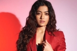 Rashmika and Manager controversy, Rashmika Mandanna, rashmika mandanna clears air, Animal film