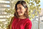 Rashmika Mandanna pan Indian films, Rashmika Mandanna pan-Indian movie, rashmika mandanna bags one more biggie, Gautam tinnanuri