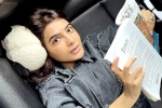 Samantha career, Samantha social media, samantha about her one year struggle, Saint