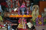Florida a Events, Events in Florida a, hsnef maha shiv ratri celebrations, Maha shivratri