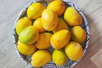 Soak Mangoes breaking, Soak Mangoes latest, soak mangoes for 30 minutes before eating, Ai era