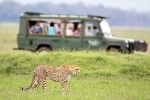 South African Safari Trip total video, South African Safari Trip list, how to plan your south african safari trip, Ipl 5