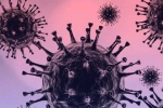 Omicron symptoms, Omicron impact, south african scientists about omicron variant, Omicron symptoms