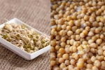 Sprouts vs Boiled Chana health experts, Boiled Chana, sprouts vs boiled chana for weight loss, Skin