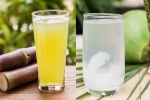Sugarcane Juice Vs Coconut Water hydrating, Sugarcane Juice Vs Coconut Water comparision, sugarcane juice vs coconut water which is hydrating, Hydration