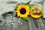 Sunflower seeds, Sunflower seeds health benefits, sunflower seeds and their nutritional benefits, Harvest