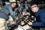 Sunita Williams latest, Space, sunita williams response on being stuck in space, Us presidential elections