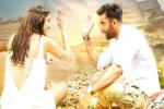 Tamasha review, Tamasha collections, tamasha three days collections, Yeh jawani hai deewani Tamasha review, Tamasha collections, tamasha three days collections, Yeh jawani hai deewani