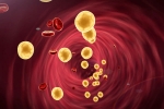 Cholesterol Statins, Cholesterol Statins, tips to lower cholesterol when statins don t work, Cholesterol statins