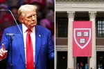 Donald Trump updates, Donald Trump updates, trump demands 1 billion as damages from harvard university, School Donald Trump updates, Donald Trump updates, trump demands 1 billion as damages from harvard university, School
