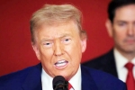 Donald Trump Tariff War with India news, Steve Hanke, top us economist on trump s tariff war with india, Law