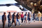 USA Illegal Immigrants latest breaking, USA Illegal Immigrants by Donald Trump, usa arrests over 500 illegal immigrants, New government in u p