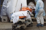 USA Coronavirus total death tally, USA Coronavirus latest, usa coronavirus deaths reaches 9 lakhs, Usa coronavirus new