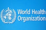USA WHO latest updates, WHO, usa withdraws from world health organization, Covid 19 USA WHO latest updates, WHO, usa withdraws from world health organization, Covid 19