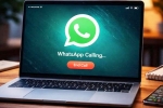 WhatsApp Web new features, WhatsApp Web latest, whatsapp web introduces support for voice and video calls, Tasks WhatsApp Web new features, WhatsApp Web latest, whatsapp web introduces support for voice and video calls, Tasks