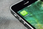 WhatsApp, WhatsApp stickers, whatsapp rolls out new calling effects animations and stickers, Puppy