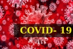 Dr Tedros Adhanom Ghebreyesus, Dr Tedros Adhanom Ghebreyesus, who renames the deadly coronavirus as covid 19, Swine flu