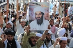 Bin Laden breaking news, Pakistan, bin laden continues to mobilize jihadists ten years after his death, Al qaeda