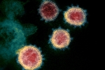 Mu variant updates, Coronavirus in Columbia, one more new variant of coronavirus traced in columbia, South america