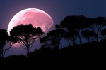 super pink moon, super pink moon, april s super pink moon to rise today biggest of the year, Supermoon