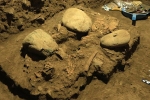 7200 year old human remains breaking updates, 7200 year old human remains, remains of a teenager who died 7200 years found, Hunters