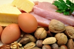 cells, protein rich foods, why protein is an important part of your healthy diet, Best foods