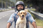 777 Charlie movie story, 777 Charlie telugu movie review, 777 charlie movie review rating story cast and crew, Wtf