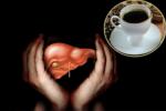 Alcohol and Coffee, Liver Cancer prevention, coffee consumption helps in protecting boozers livers, Coffee consumption