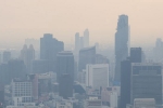 Air Pollution Vs Productivity research, Productivity, how air pollution can impact your productivity and focus, Cardiovascular disease