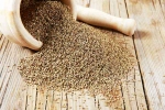 Ajwain India, Ajwain, benefits of adding carom seeds to your diet, Asthma