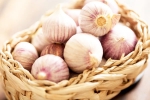 Chinese garlic updates, Chinese garlic new breaking, how to identify banned chinese garlic in the indian market, Farming