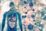 coronavirus, COVID-19, covid 19 can affect almost all organs experts at aiims, Aiims