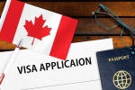 Canada Vs India Visa rule process, Canada Vs India Visa rule updates, canada reduces tourist visas issued to indians, Sikh