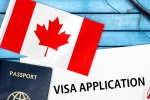 Canada's study visa approvals India, Canada's study visa approvals for Indians, canada s study visa approvals for indian students to drop by 50 in 2024, Indian origin