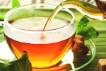 tea, tea, is consuming tea linked to immunity, Food options