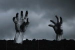 University of Tennessee, Florida news, florida excited about its first corpse farm, Tampa bay