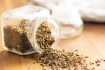 Cumin health, Cumin Vitamin B12, can cumin replace eggs and chicken for b12, Animal