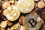 Delhi-Noida Gang Rs 260 Cr scam breaking updates, Delhi-Noida Gang Rs 260 Cr scam updates, delhi noida gang cheated usa and canada citizens for rs 260 cr, Bitcoin