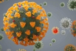 Delta plus severity, Delta plus, all you need to know about the new delta plus variant of coronavirus, Delta plus