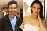 Triptii Dimri next movie, Triptii Dimri with Dhanush, dhanush to romance animal actress triptii dimri, Dhanush