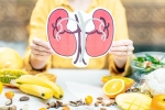 Healthy Kidneys foods, Healthy Kidneys doctors, food items to include in your diet for healthy kidneys, Food options
