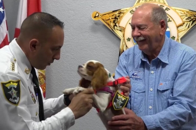 Dog attacked and rescued from alligator honored as &ldquo;Deputy Dog&rdquo;