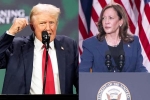Donald Trump, Donald Trump, donald trump calls kamala harris is married to a jewish man, Judges